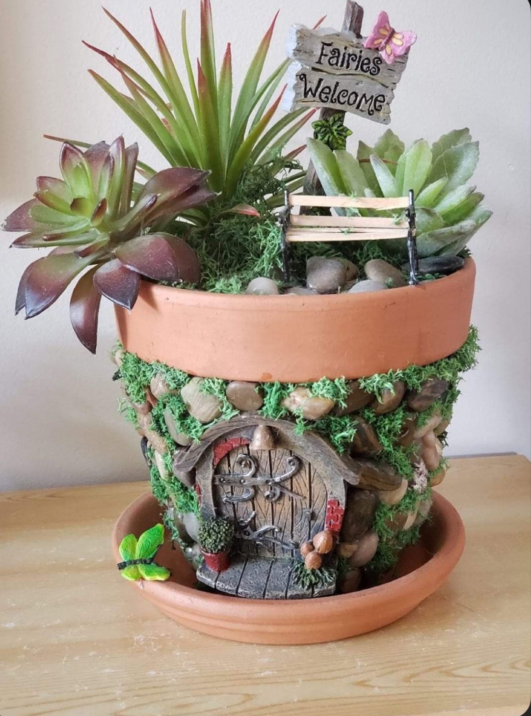 Fairy garden Terrarium Class