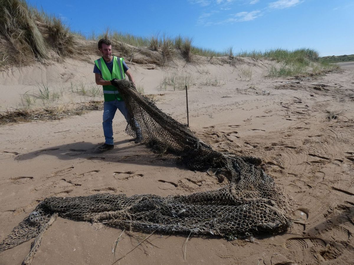 Big Beach Clean