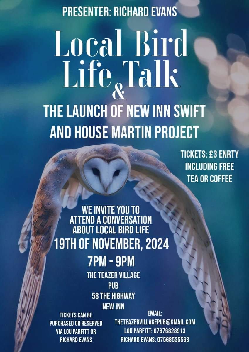 Swift and House Martin Project Launch