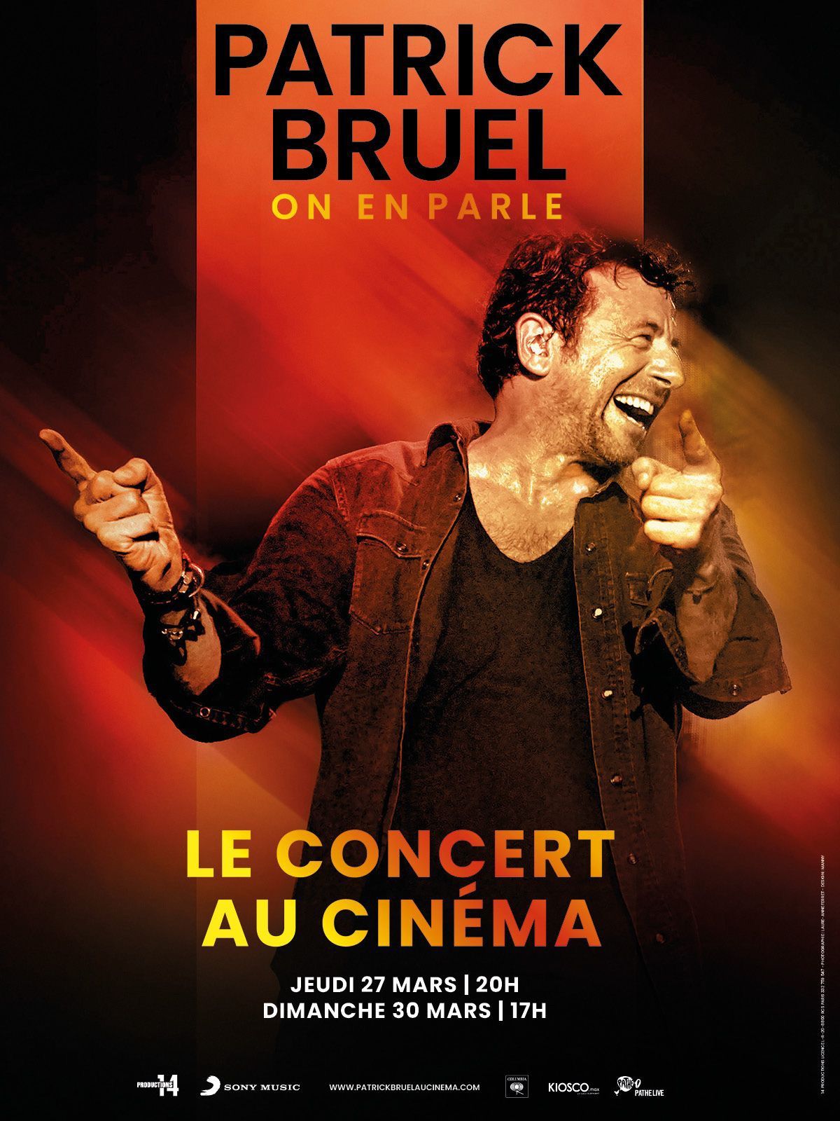 Patrick Bruel : Le concert au Cin\u00e9ma.