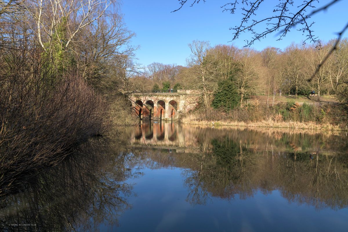 Valentine\u2019s Day Special: Hampstead Heath & Parliament Hill - 16 Feb 2025