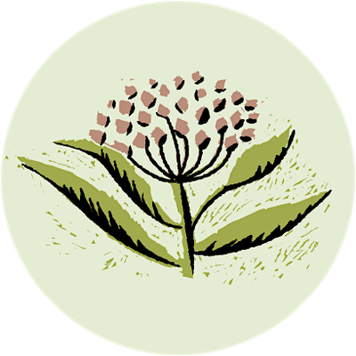 Friends of Cedarvale