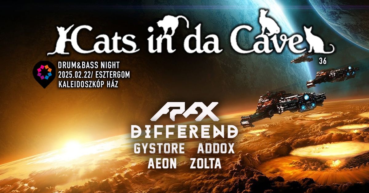 Cats in da Cave 36