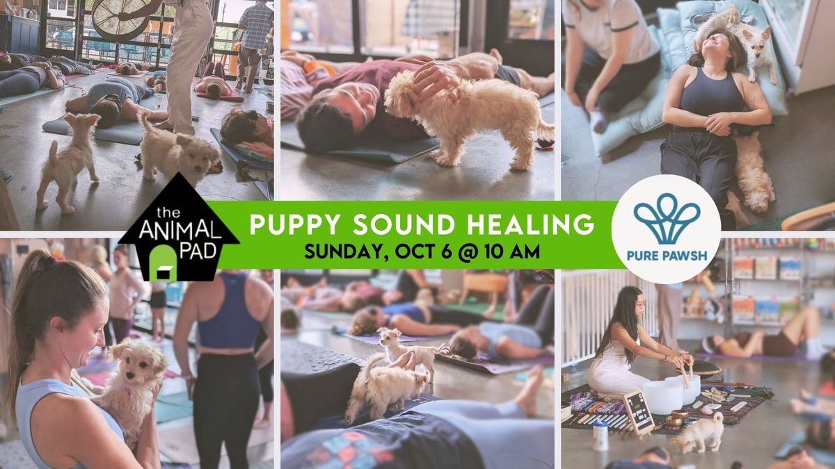 Puppy Sound Healing at Pure Pawsh