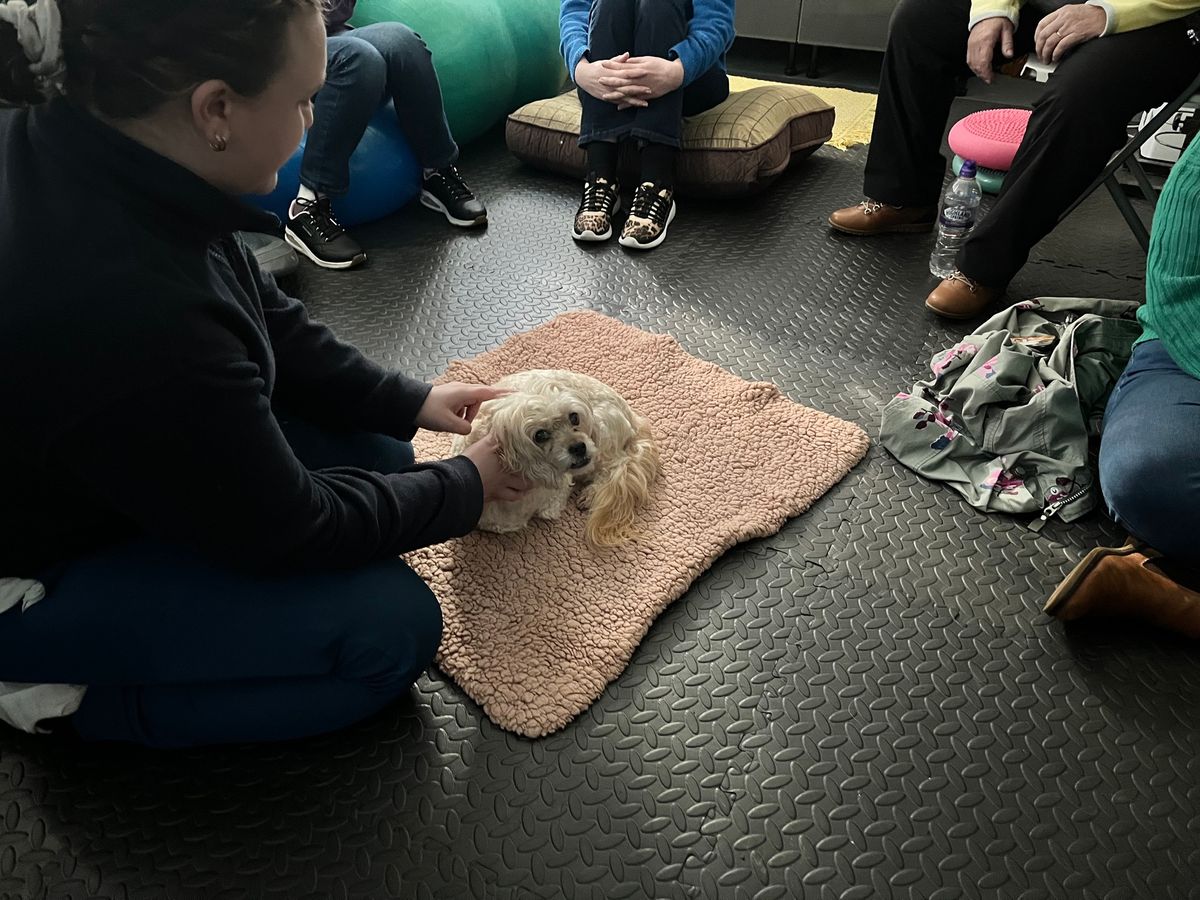 Into to Canine Massage Workshop