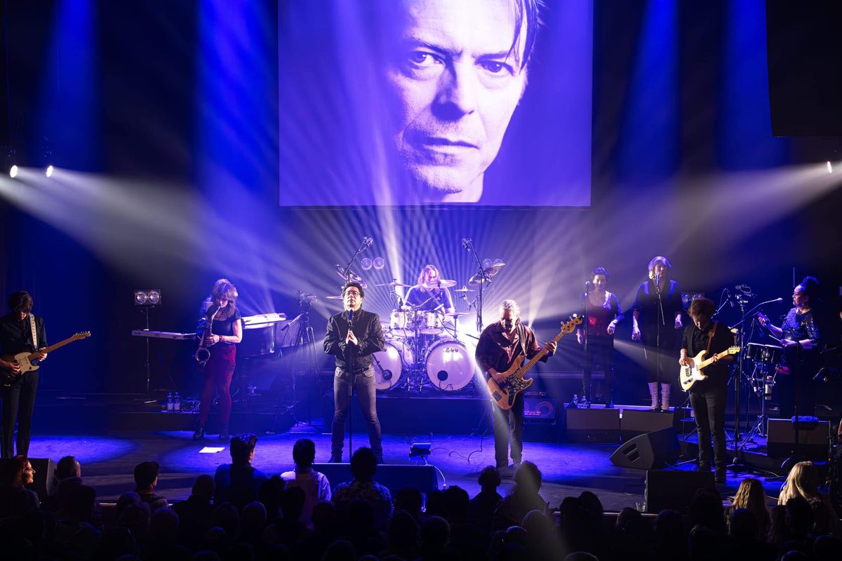 Paard tribute David Bowie 