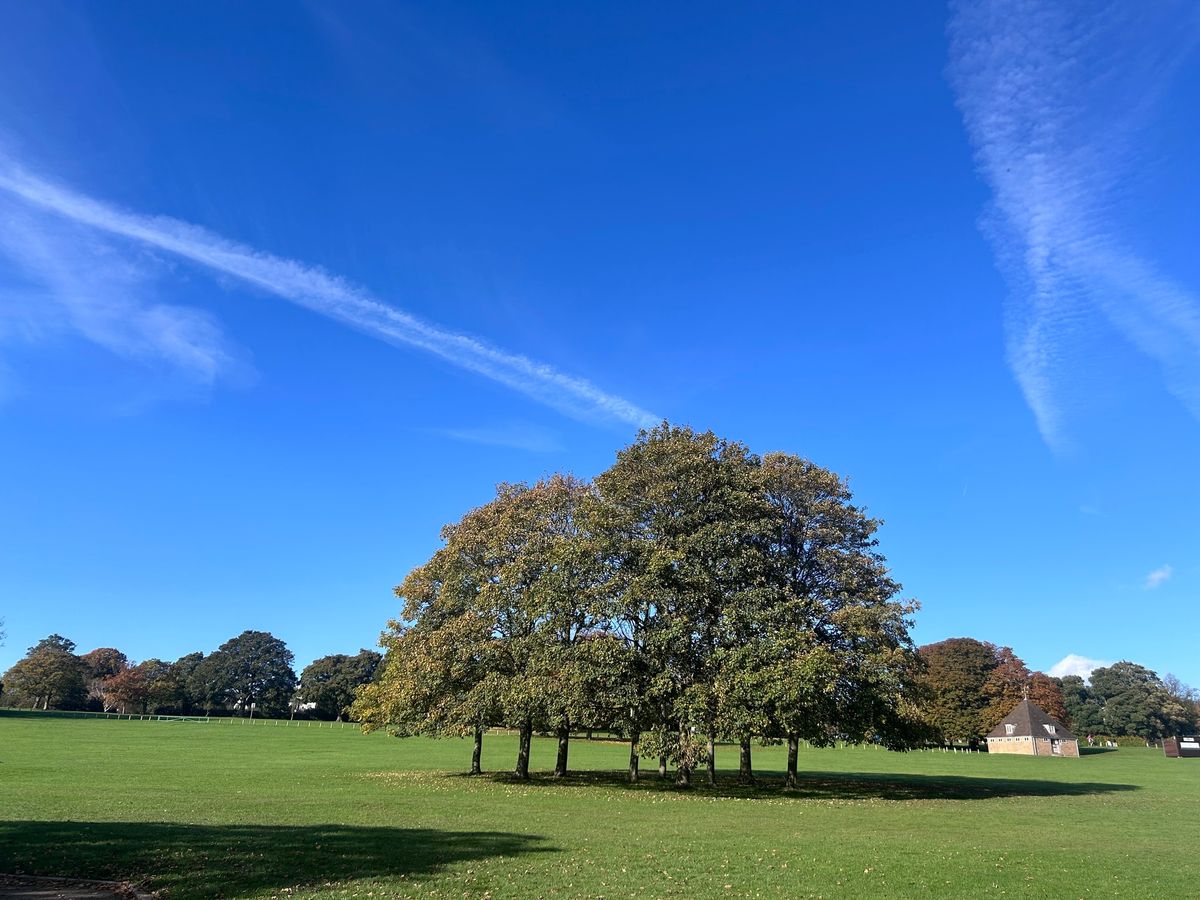 Family walk & talk - Wicksteed park 