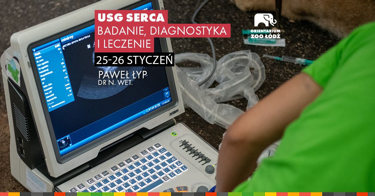 USG SERCA - Badanie, Diagnostyka i Leczenie