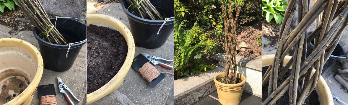 Living Willow Lattice Tree Workshop