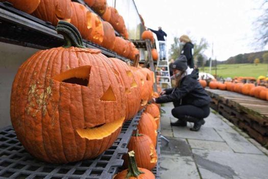 Halas Farm Market 2nd Annual Pumpkin Lighting