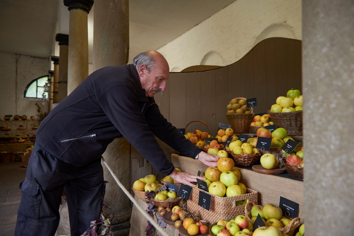 Apple Harvest Celebration at Erddig | Dathliad Cynhaeaf Apple yn Erddig