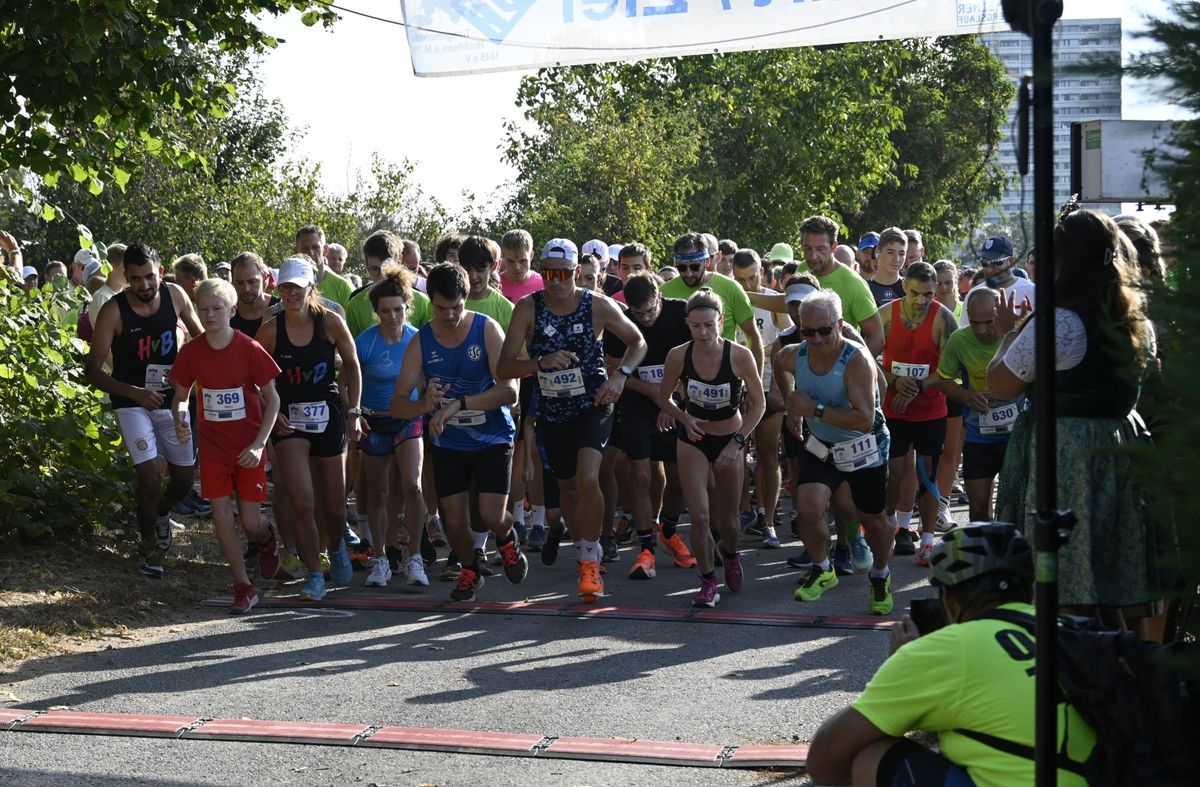 21. Hochheimer Weinbergslauf