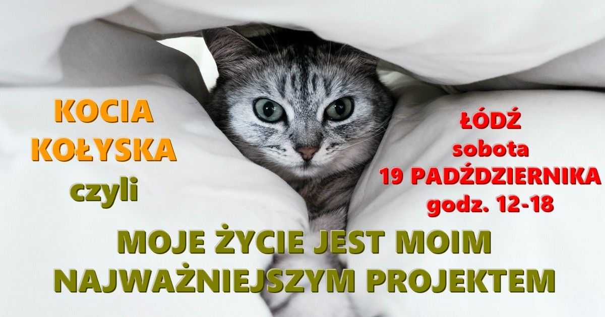 KOCIA KO\u0141YSKA - MOJE \u017bYCIE JEST MOIM  NAJWA\u017bNIEJSZYM PROJEKTEM