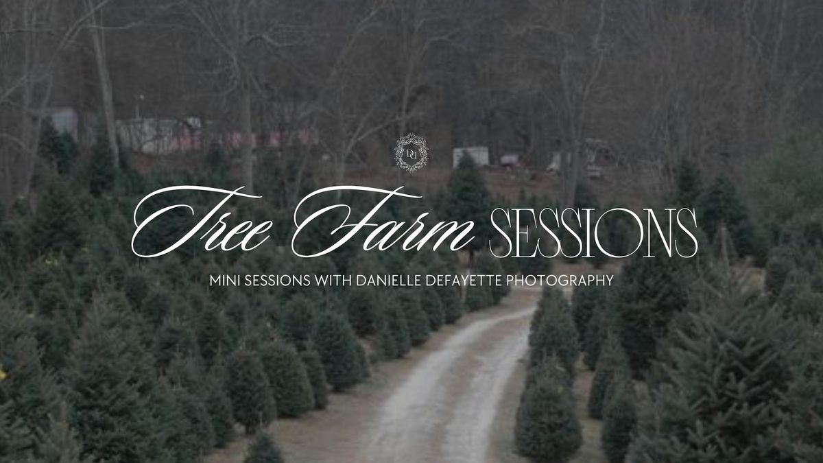 Christmas Tree Farm Mini Sessions | Danielle Defayette Photography