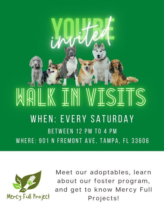 Mercy Full Projects Walk In Visit Hours