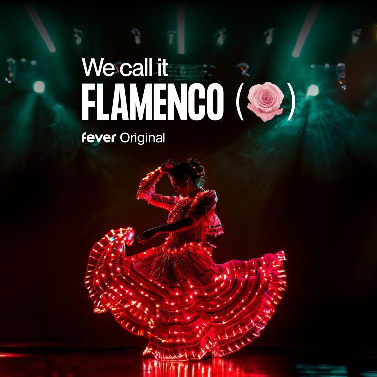 We call it Flamenco : Un sensationnel spectacle de danse espagnole