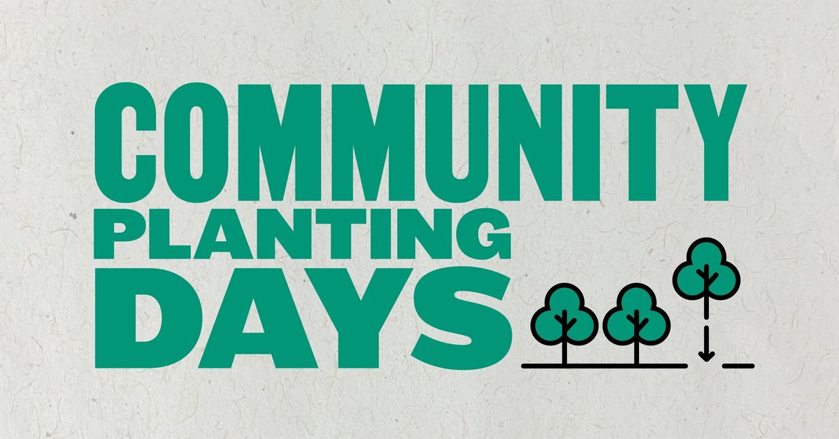 Community Planting Day \u2013 Maylands Samphires