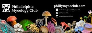 All about Mushrooms with Philly Mycology Club