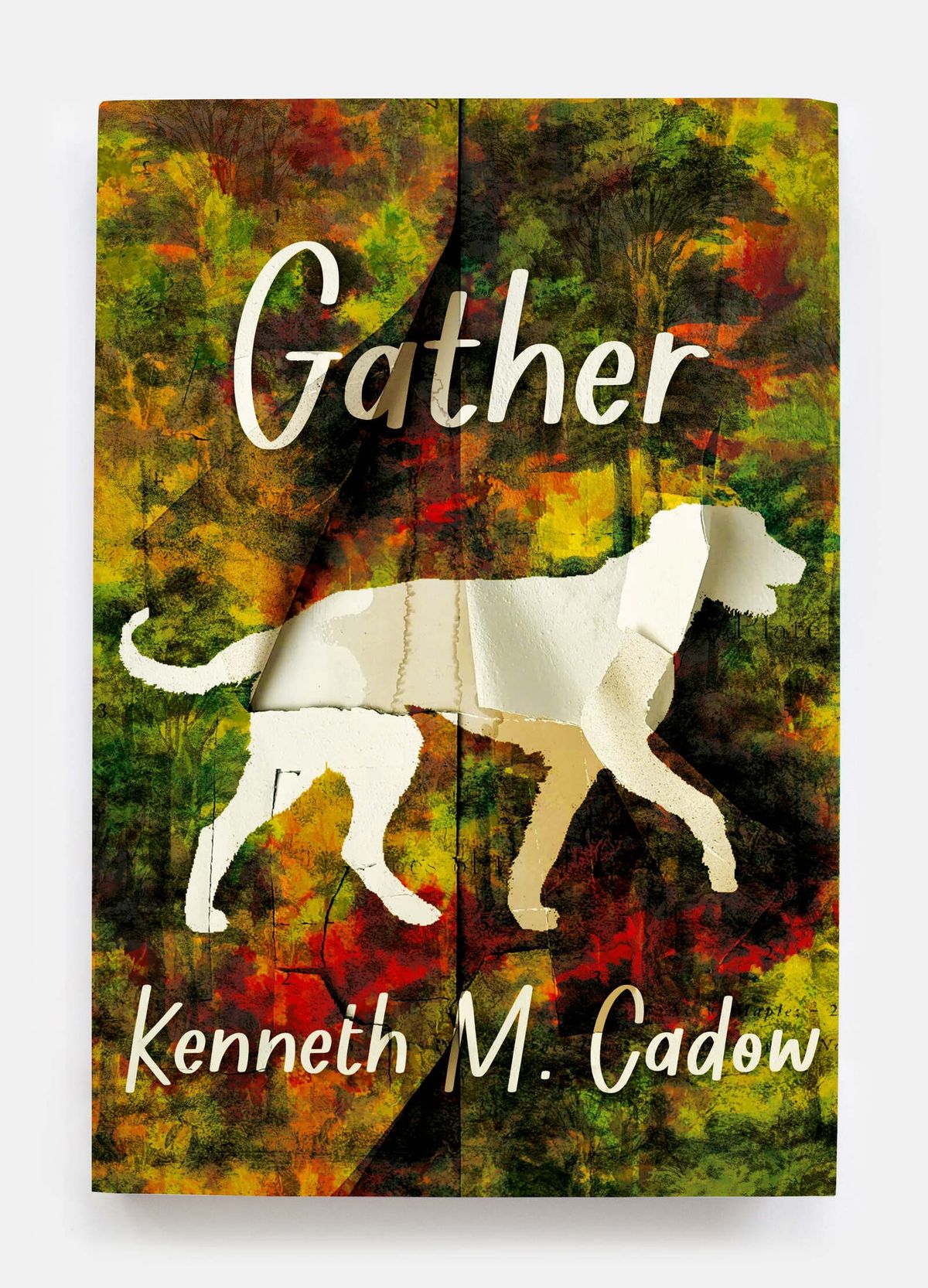 "Gather" Book Discussion with Jim Schley