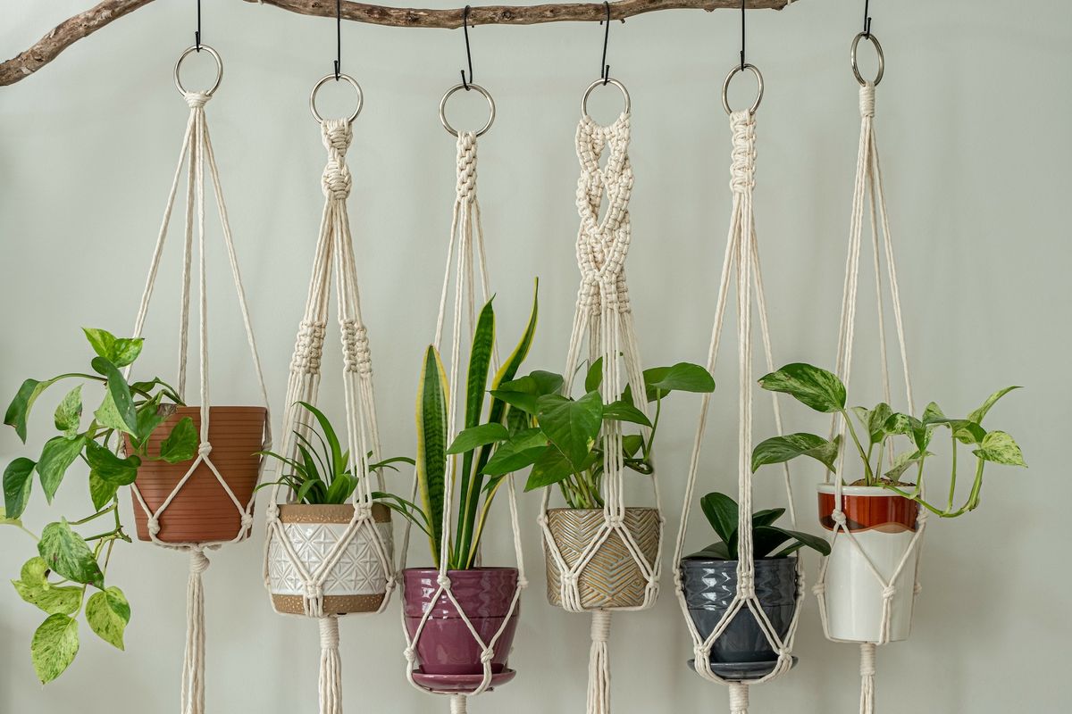 Macrame 101: Plant Hangers