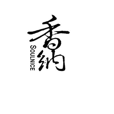 Soulnice Centre Singapore Pte Ltd