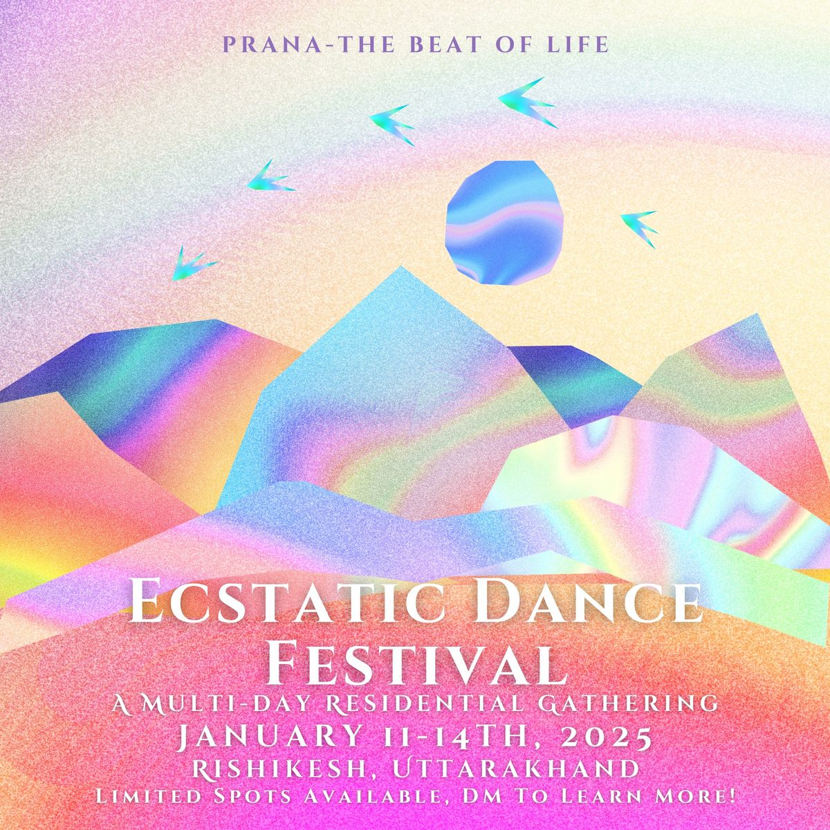 Ecstatic Dance Festival 2025