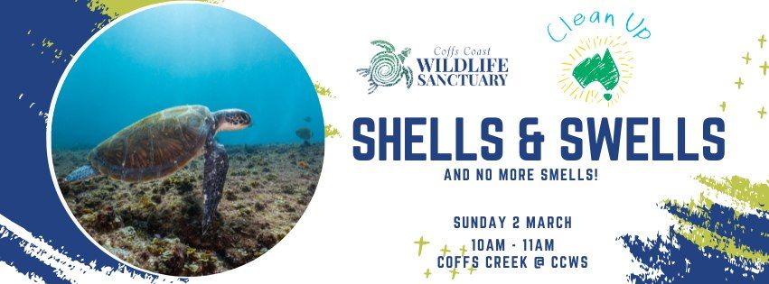 Clean Up Australia Day event - hosted by Coffs Coast Wildlife Sanctuary