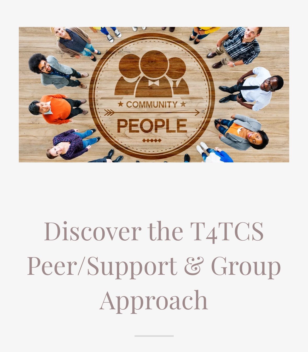 Discover the T4TCS Peer\/Support & Group Approach