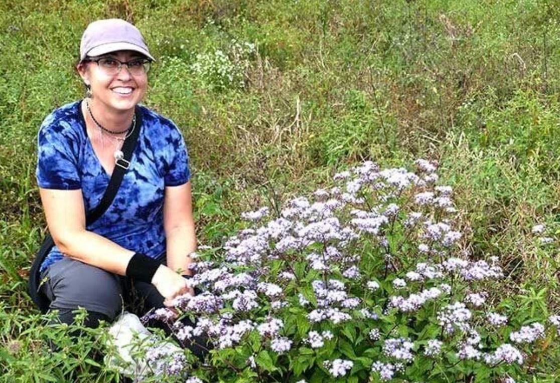 Dr. Bodie Pennisi, UGA - "All About Perennial Chrysanthemums"