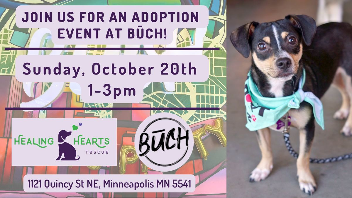 Adoption Event at B\u016aCH Fermentary & Taproom