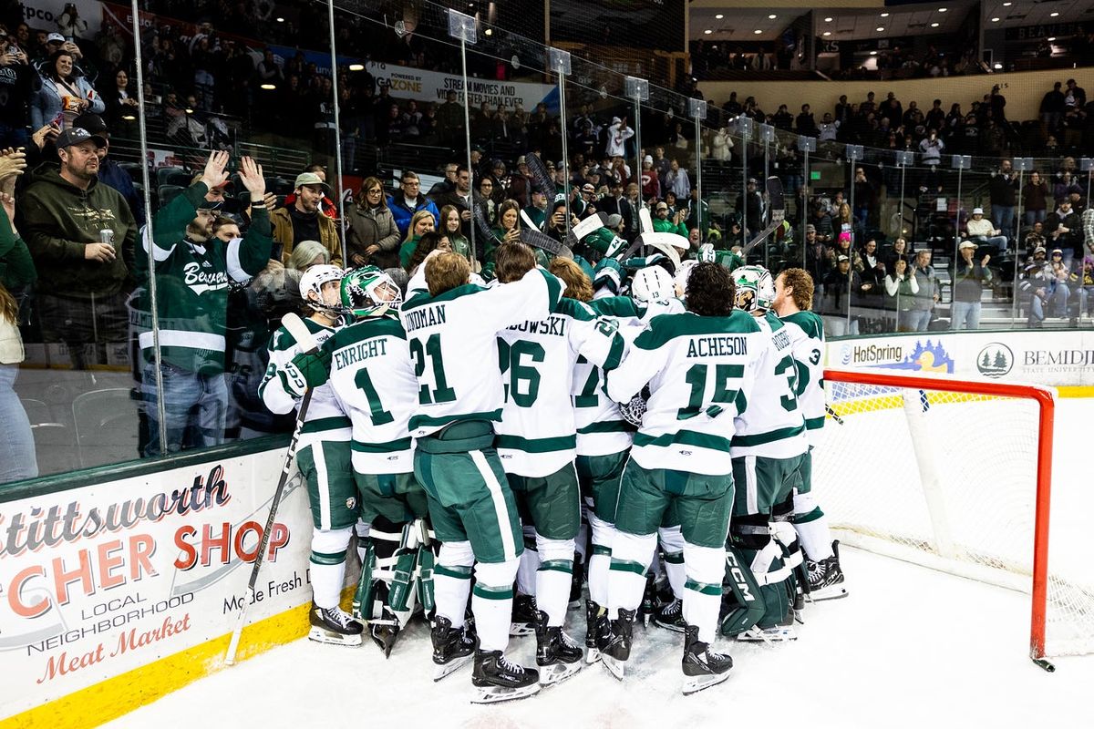 Ferris State Bulldogs at Bemidji State Beavers Mens Hockey at The Sanford Center