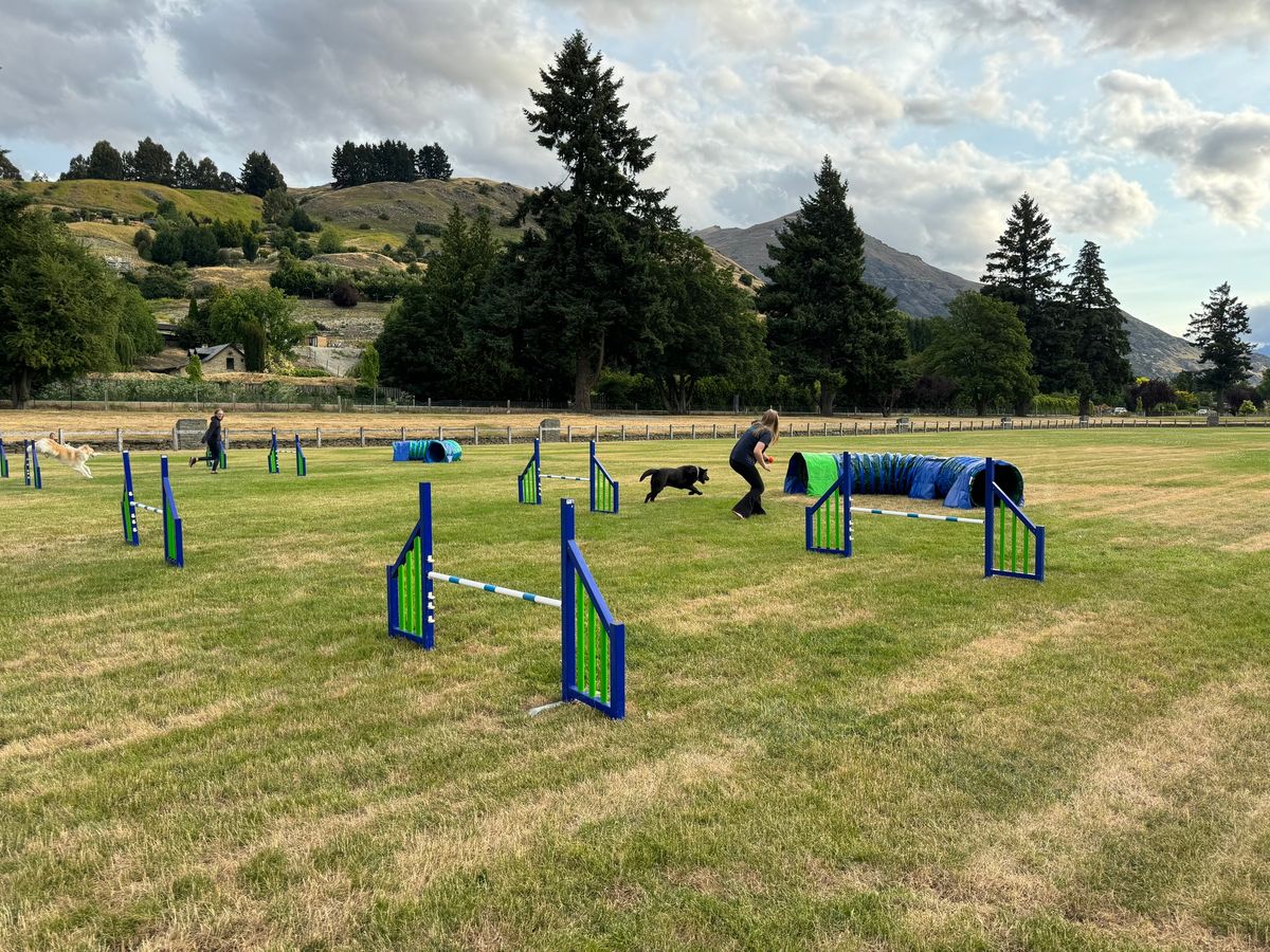 Agility Foundation Class