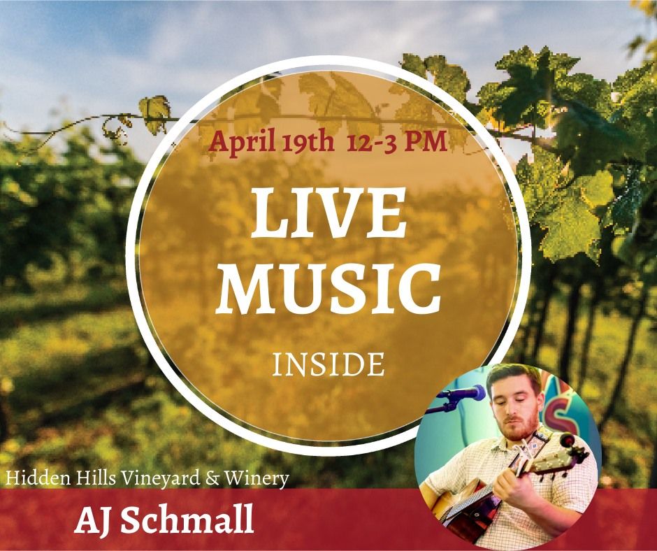 Live Music: AJ Schmall