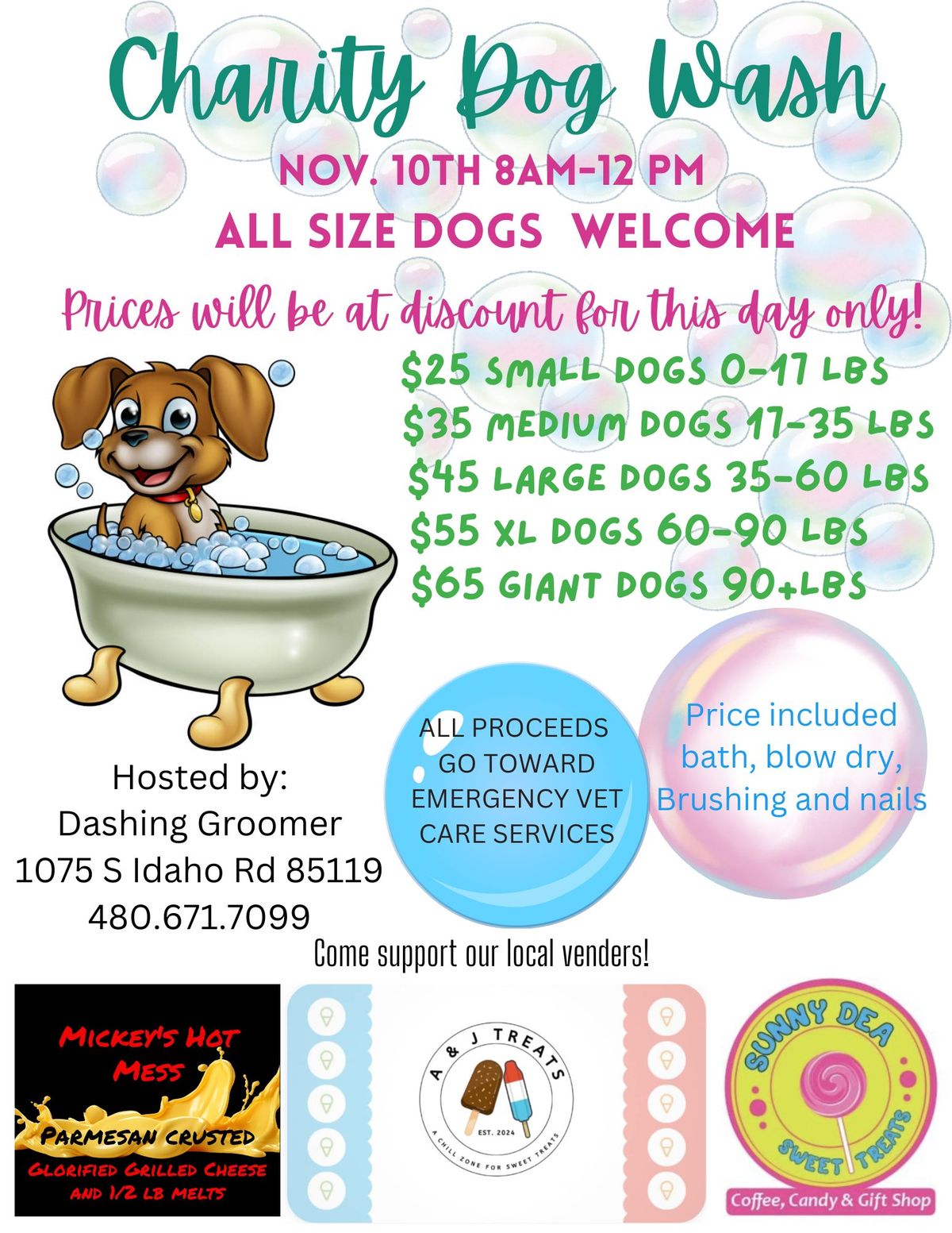 Charity Dog Wash 