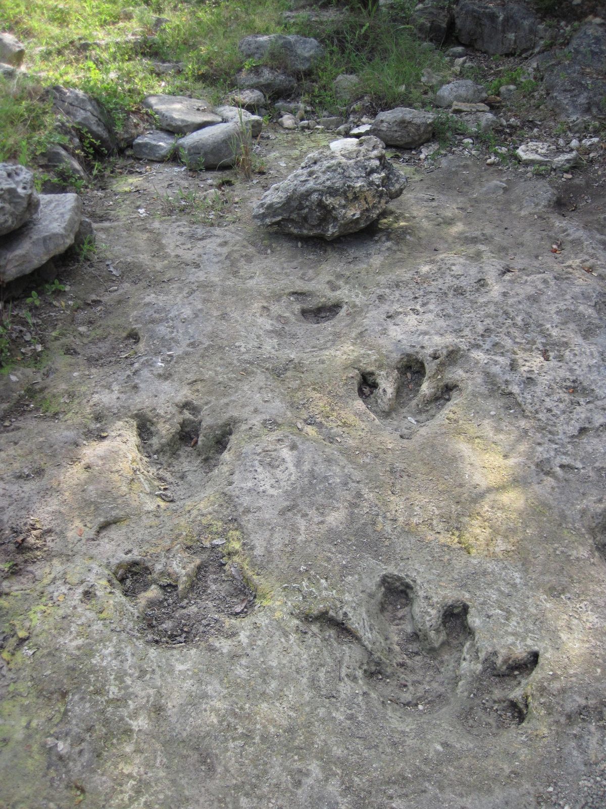 Hike to the Dino Tracks