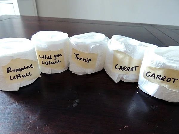 DIY Seed Tape!