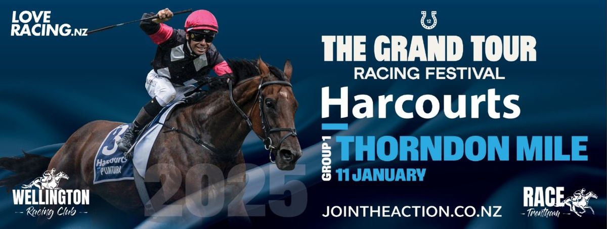 Harcourts Thorndon Mile Day