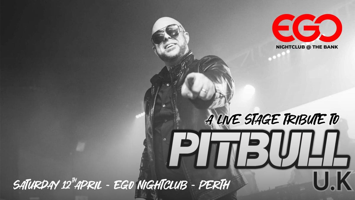 Pitbull - Mr Worldwide - Mr 305 - Live Stage Tribute Show