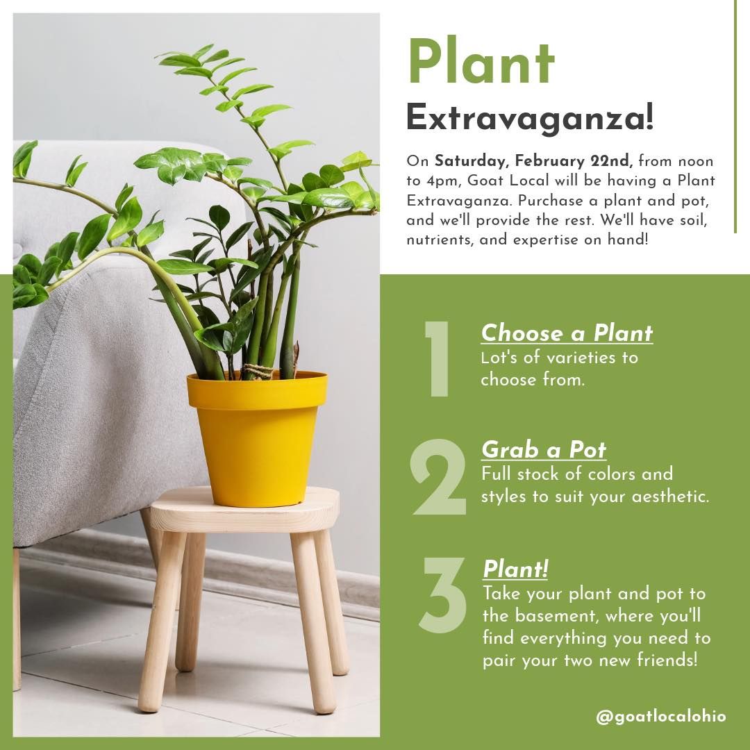 Plant Extravaganza 