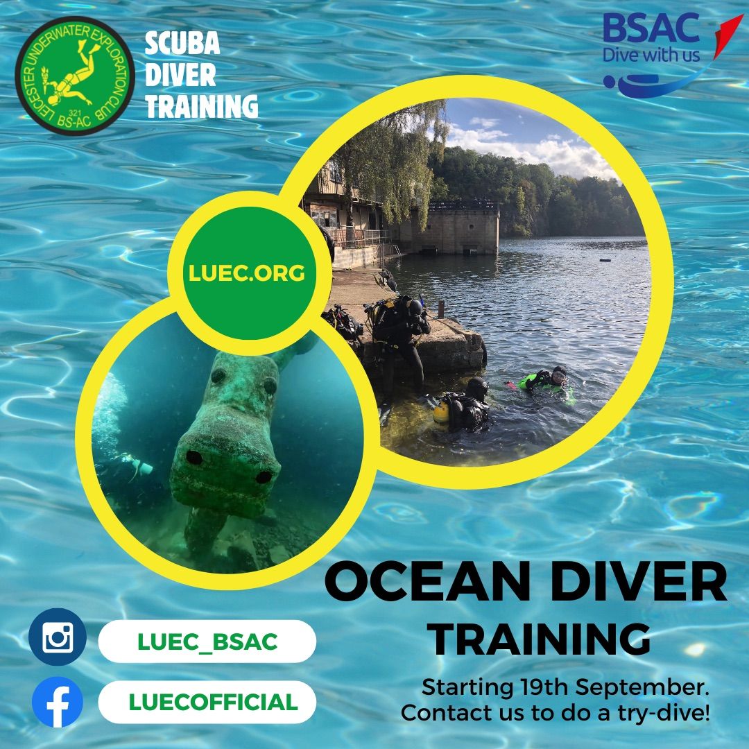 Ocean Diver training - Week 6