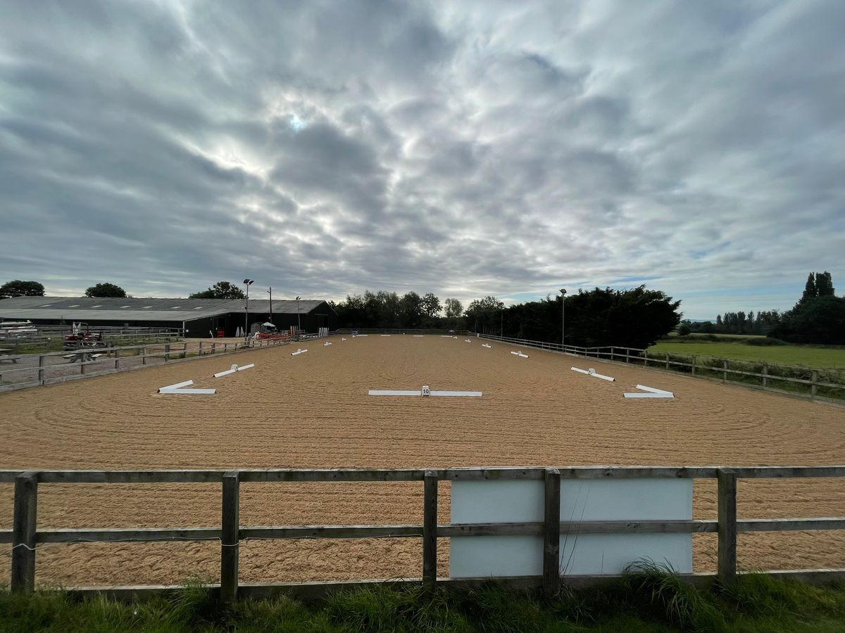 Winter unaffiliated dressage league 