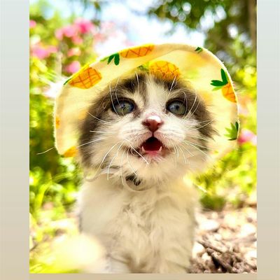 Gatsby\u2019s House Of Wellness