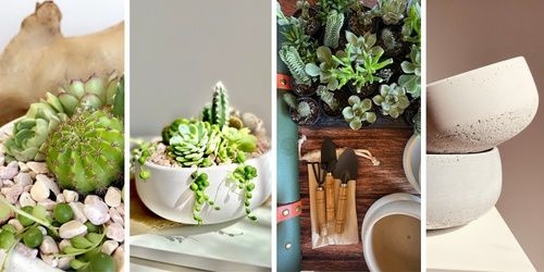 Succulent Bowl Workshop - Hosted by Potich\u00e9