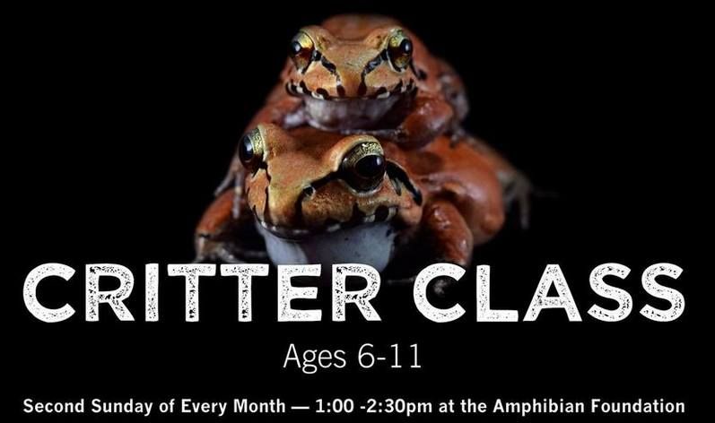 Critter Class - Ages 6-11