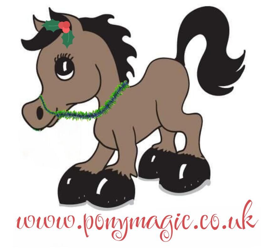 Pony Magic at Manor Farm