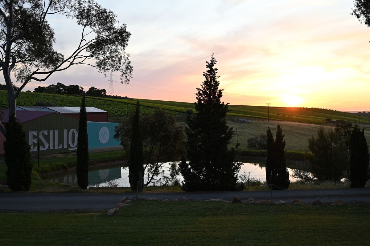 Friday Night Sunset Sessions at Esilio Wines featuring Netherby