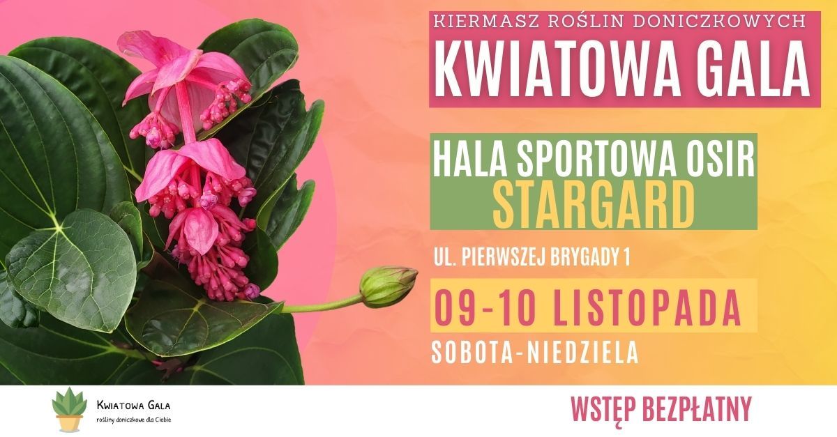 Kwiatowa Gala w Stargardzie- kiermasz ro\u015blin doniczkowych