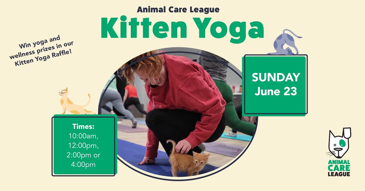 *SOLD OUT* Kitten Yoga!