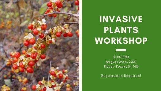 Invasive Plants Workshop