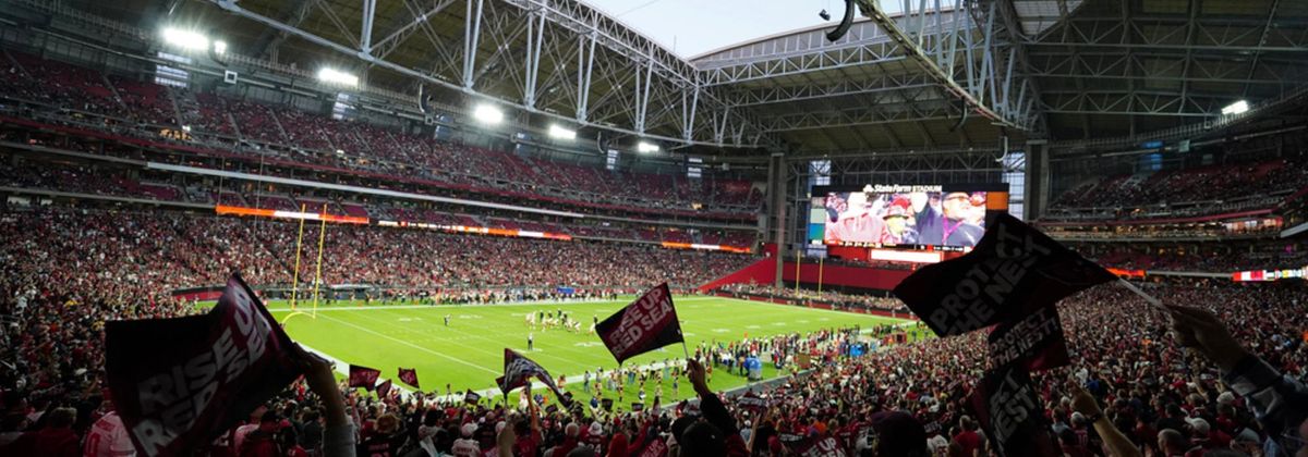 Arizona Cardinals Season Ticket Main Level Waitlist